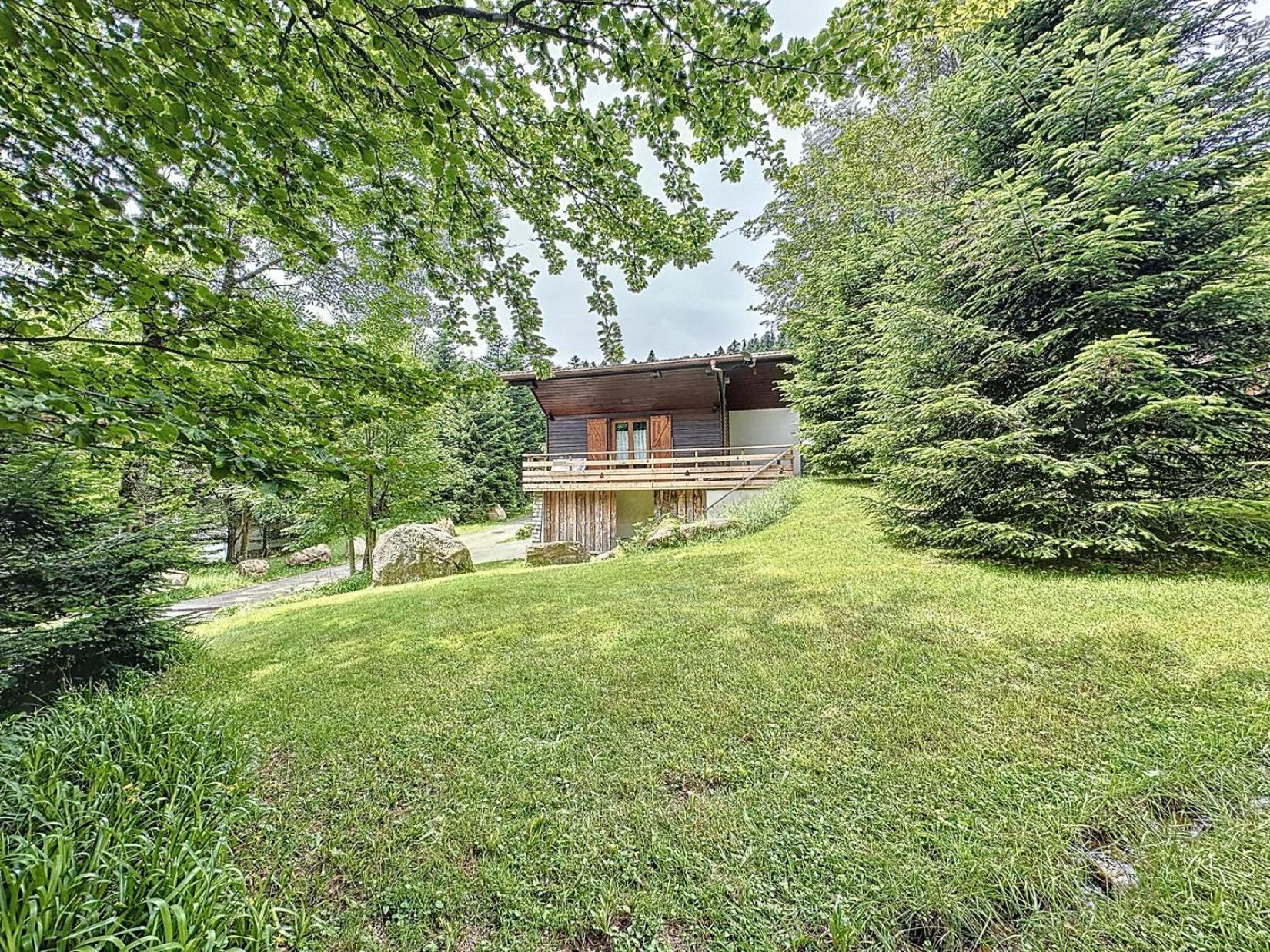 Le Chalet Des Belles Roches, La Bresse Hohneck Villa Kültér fotó